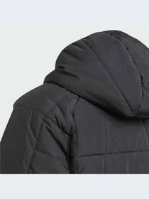 Куртки и дубленки Adidas Adventure модель IL5005-KZ Фото