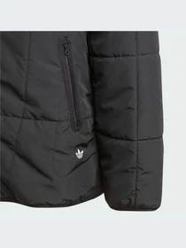 Куртки и дубленки Adidas Adventure модель IL5005-KZ Фото