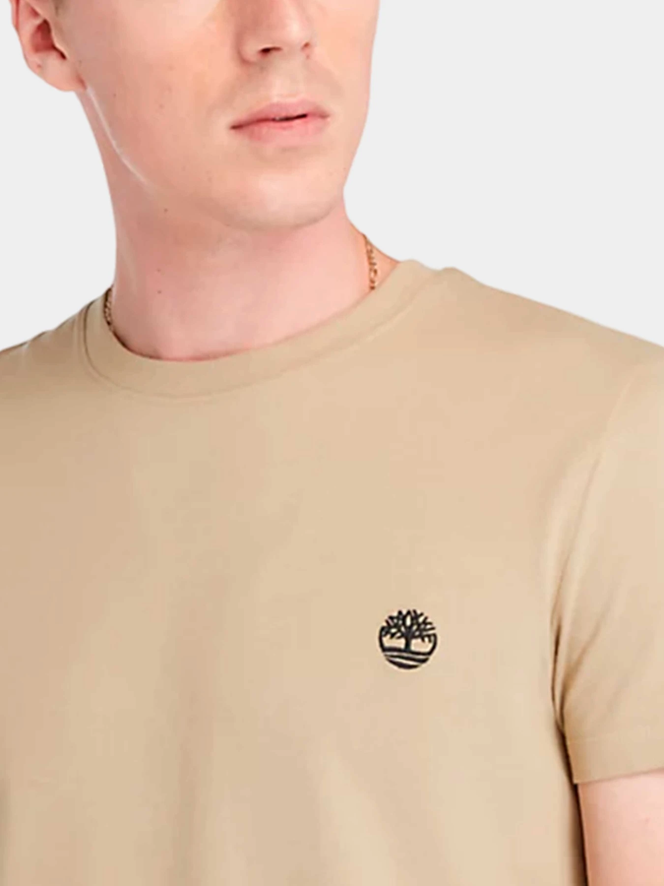 Футболки и поло Timberland модель TB0A2BPRDH41 Футболки и поло Timberland модель TB0A2BPRDH41 Фото