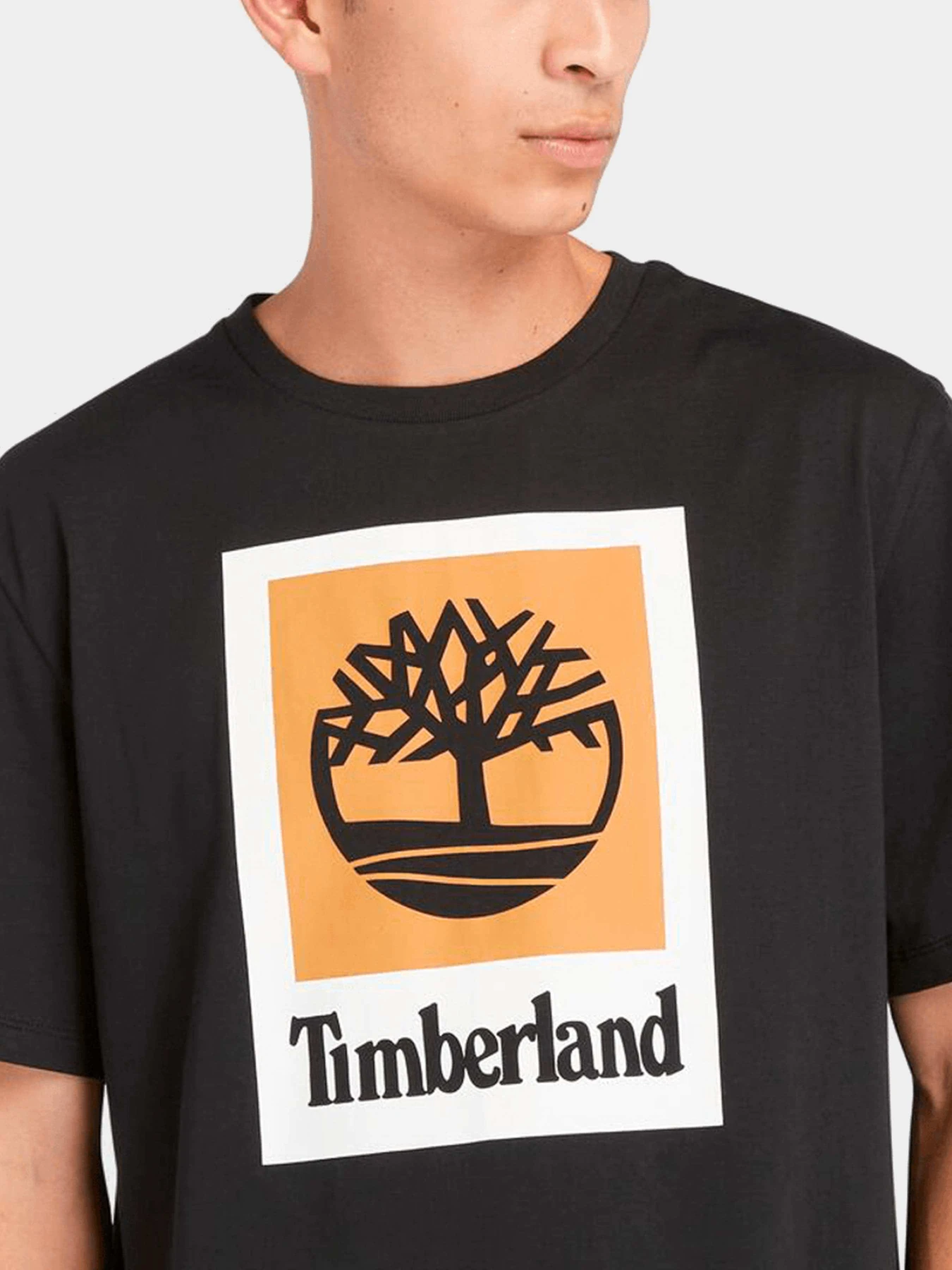 Футболки и поло Timberland модель TB0A5QS20011 Футболки и поло Timberland модель TB0A5QS20011 Фото