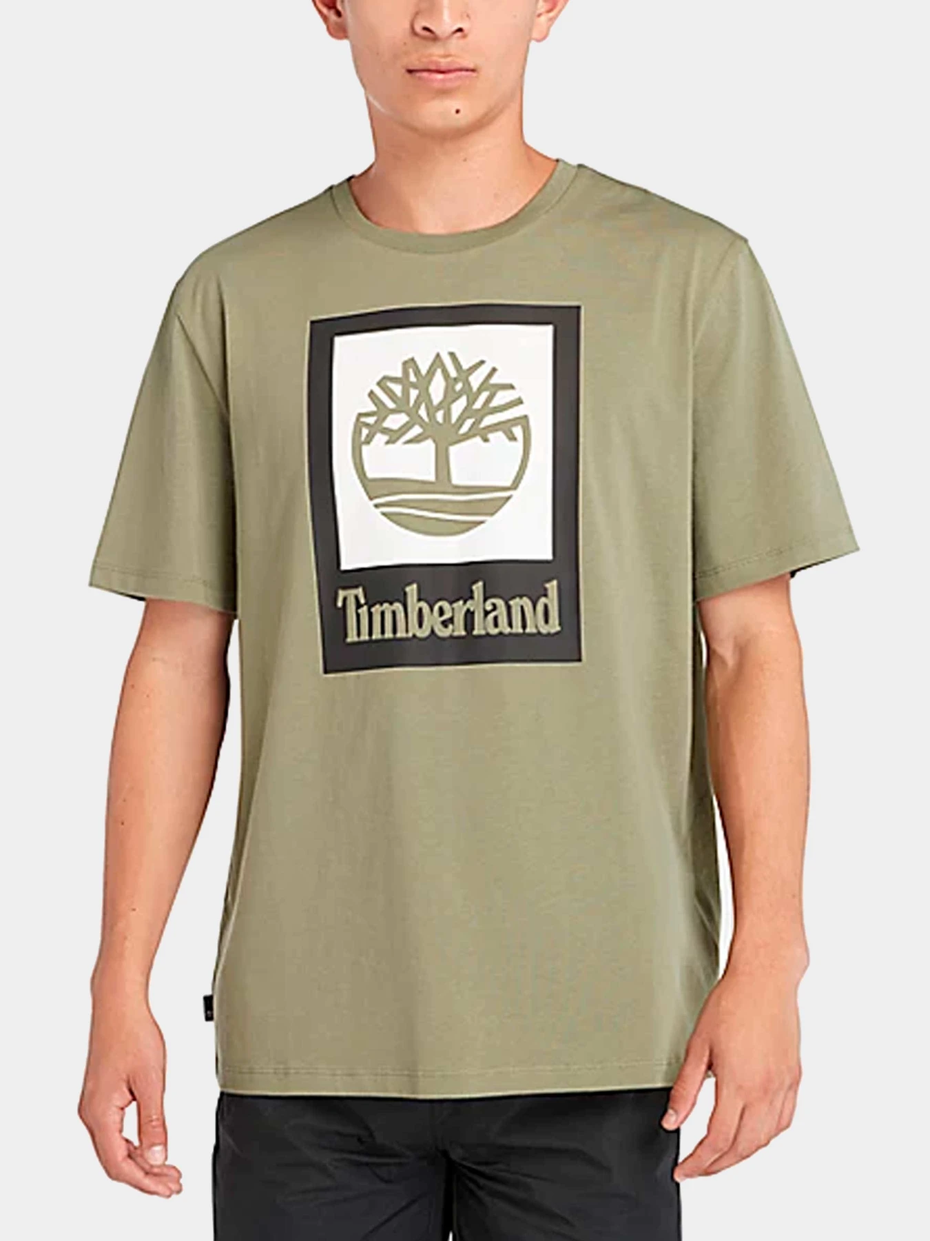 Футболки и поло Timberland модель TB0A5QS25901 Футболки и поло Timberland модель TB0A5QS25901 Фото