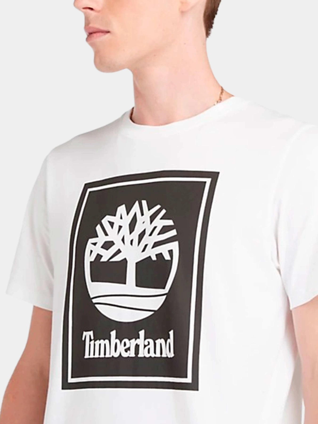 Футболки и поло Timberland модель TB0A5WQQP541 Футболки и поло Timberland модель TB0A5WQQP541 Фото