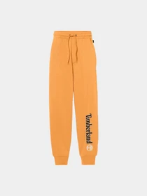 Брюки Timberland модель TB0A5YFBP471 Фото