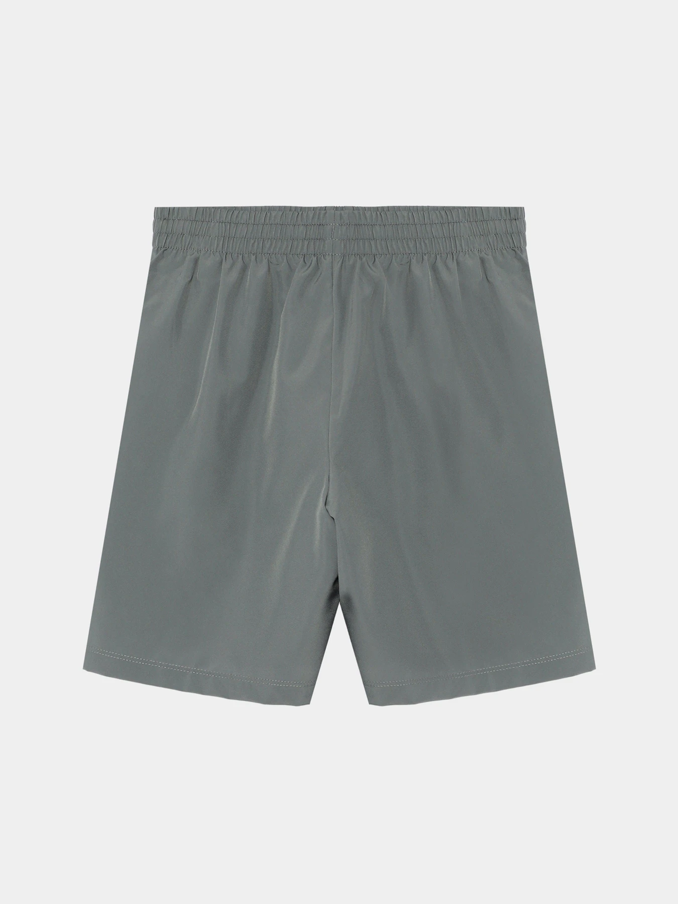 Шорты NIKE модель DX5382-084 Шорты NIKE модель DX5382-084 Фото