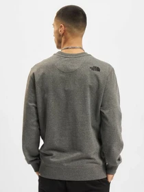 Худи и свитшоты The North Face модель NF0A4T1EDYY1 Фото