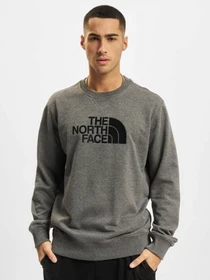 Худи и свитшоты The North Face модель NF0A4T1EDYY1 Фото