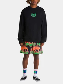 Худи и свитшоты Vans модель VN000GE5BLK1 Фото