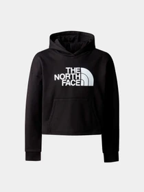 Худи и свитшоты The North Face модель NF0A89PUJK31 Фото