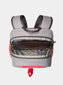 Рюкзаки The North Face модель NF0A87GGYOE1 Фото