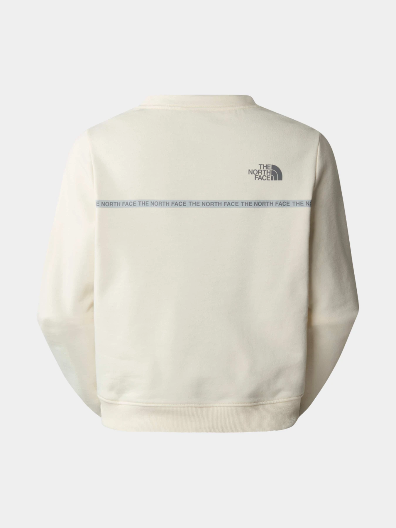 Худи и свитшоты The North Face модель NF0A87DHQLI1 Худи и свитшоты The North Face модель NF0A87DHQLI1 Фото