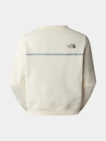 Худи и свитшоты The North Face модель NF0A87DHQLI1 Фото