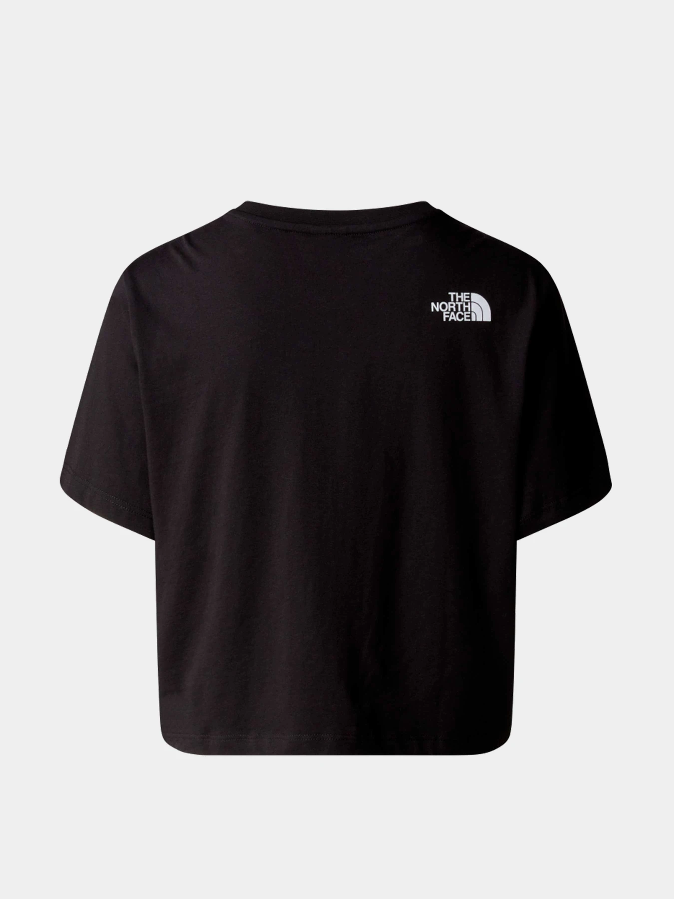 Футболки и поло The North Face модель NF0A87NAJK31 Футболки и поло The North Face модель NF0A87NAJK31 Фото