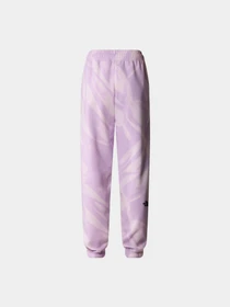 Брюки The North Face модель NF0A881EUI61 Фото