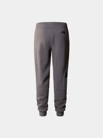 Брюки The North Face модель NF0A87F80UZ1 Фото