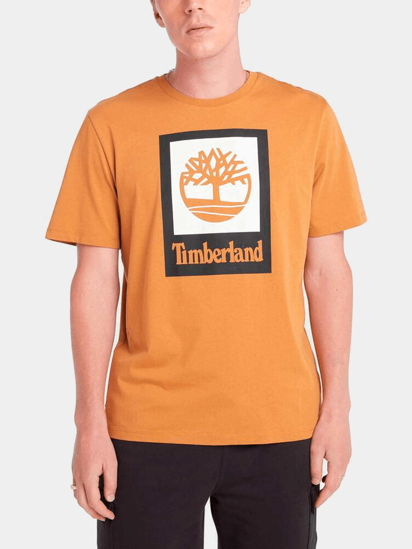 Футболки и поло Timberland модель TB0A5QS2P471 Футболки и поло Timberland модель TB0A5QS2P471 Фото