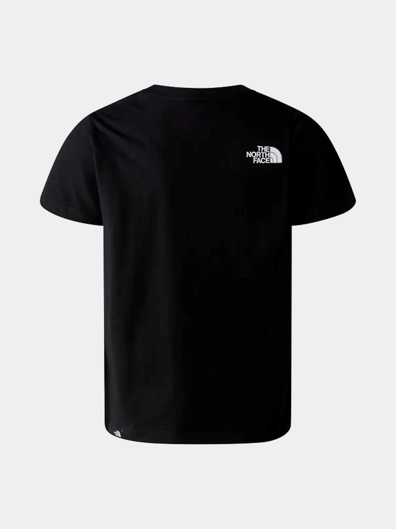 Футболки и поло The North Face модель NF0A87T4JK31 Футболки и поло The North Face модель NF0A87T4JK31 Фото