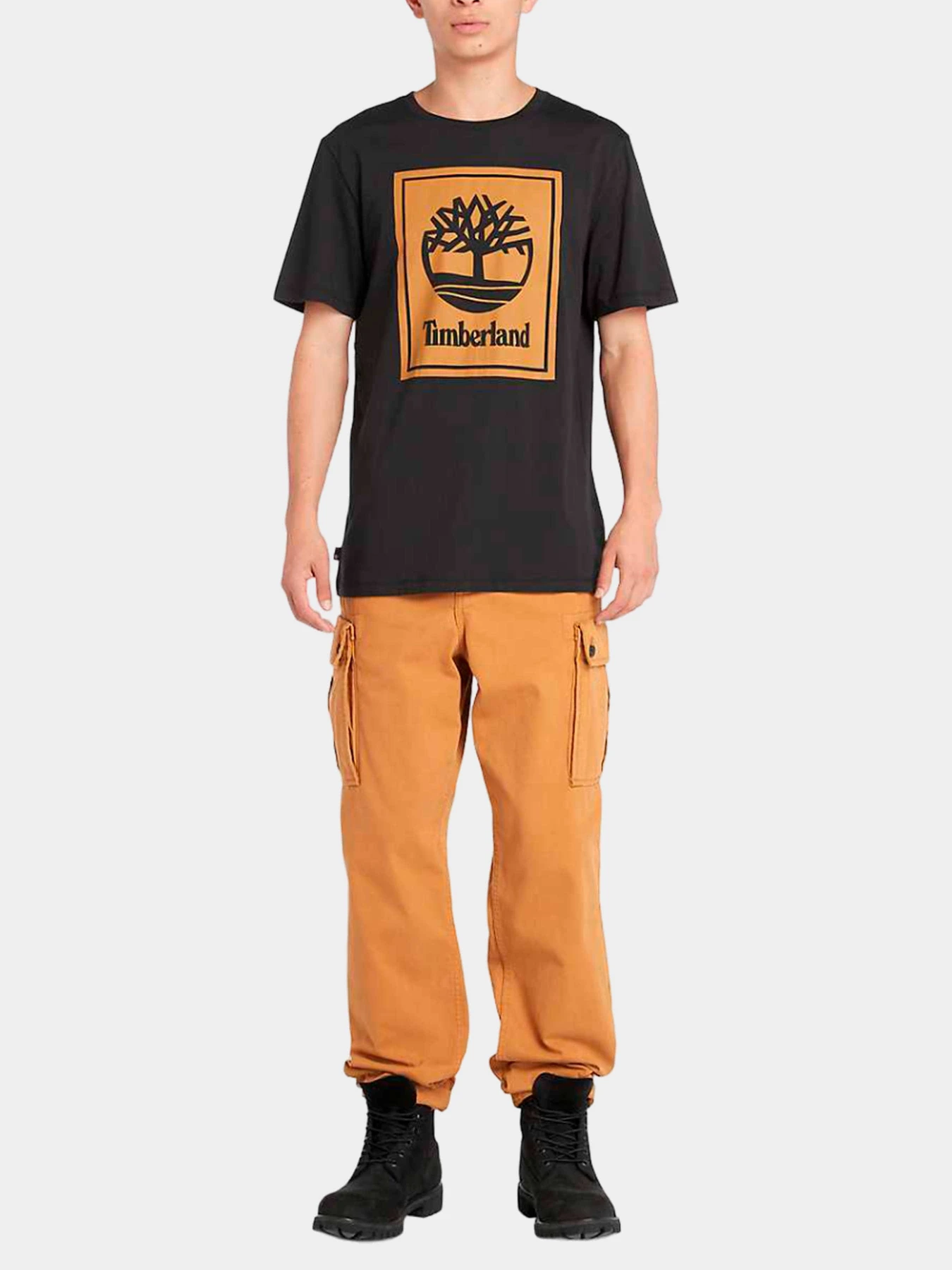 Футболки и поло Timberland модель TB0A5WQQP561 Футболки и поло Timberland модель TB0A5WQQP561 Фото