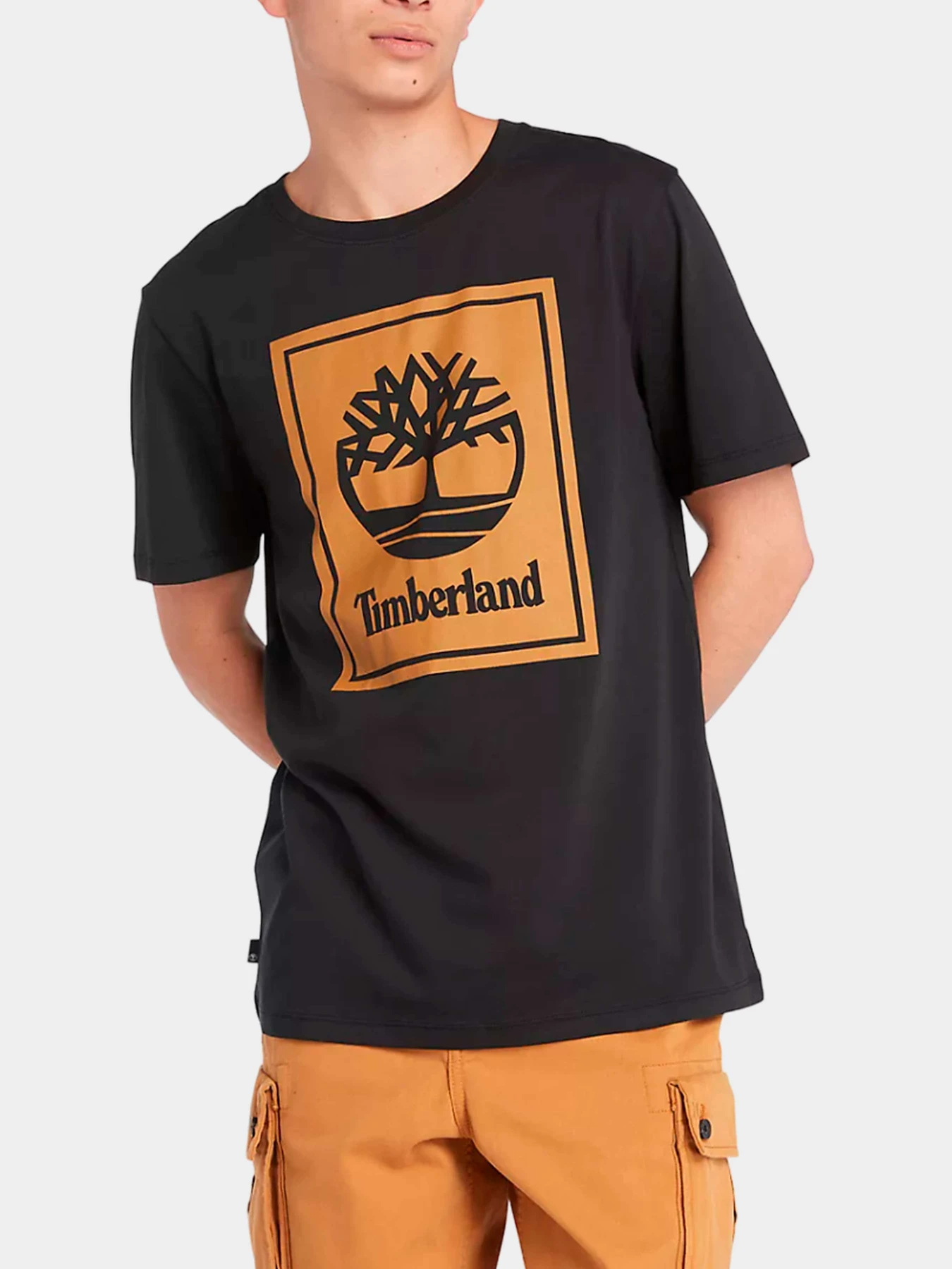 Футболки и поло Timberland модель TB0A5WQQP561 Футболки и поло Timberland модель TB0A5WQQP561 Фото