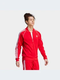 Худи и свитшоты Adidas Adicolor модель IL2494-KZ Фото