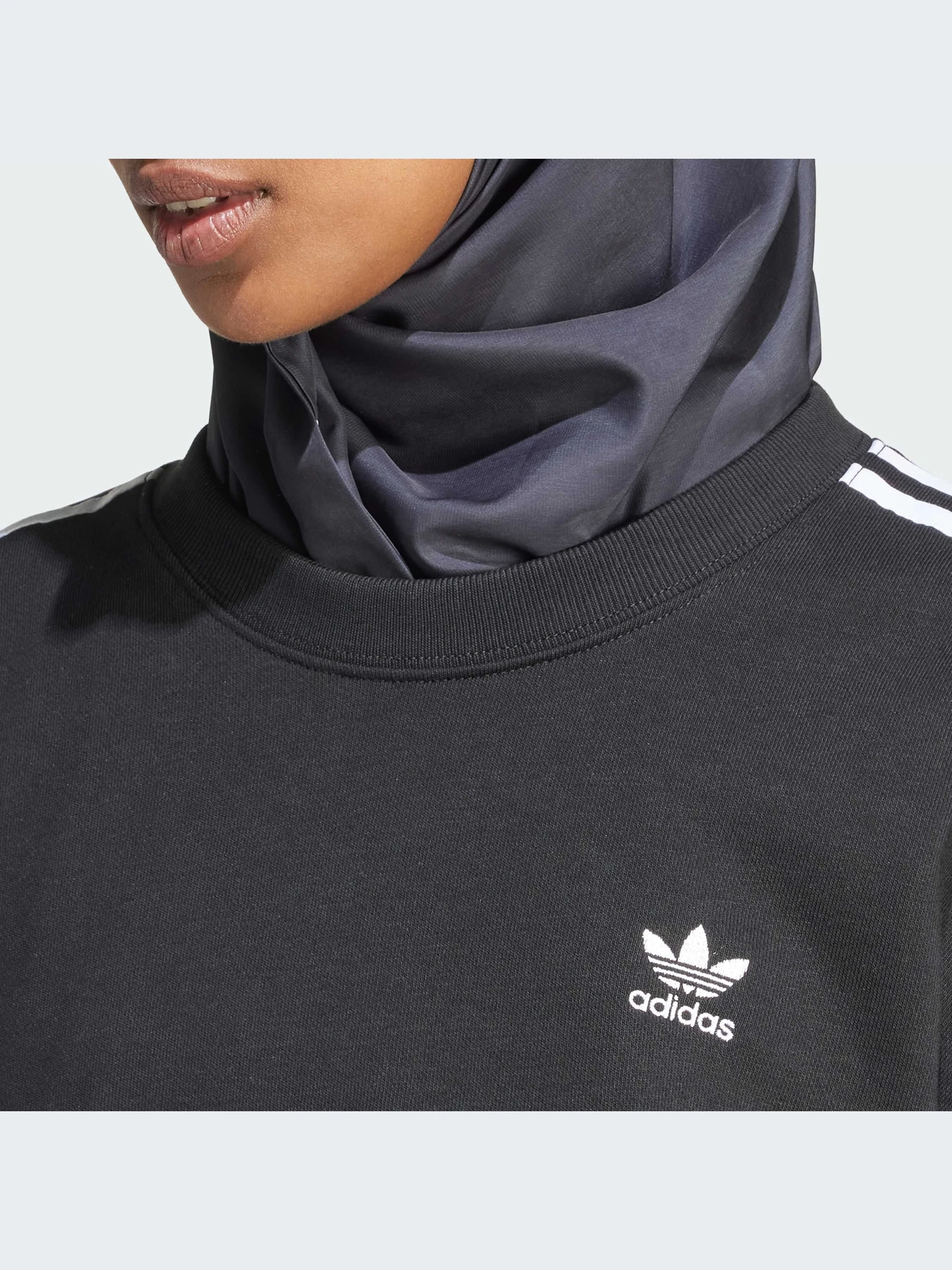 Худи и свитшоты Adidas Adicolor модель IR5522-KZ Худи и свитшоты Adidas Adicolor модель IR5522-KZ Фото
