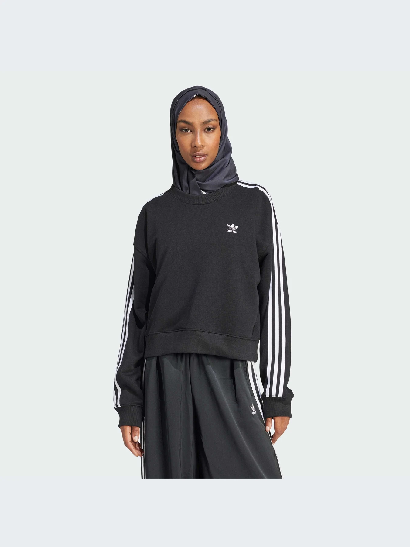 Худи и свитшоты Adidas Adicolor модель IR5522-KZ Худи и свитшоты Adidas Adicolor модель IR5522-KZ Фото