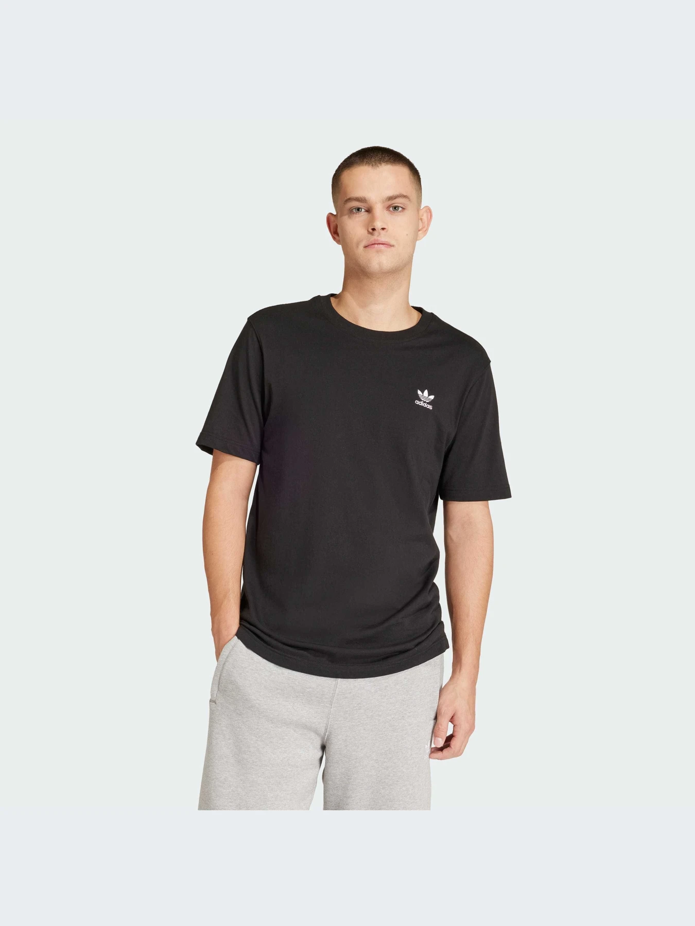 Футболки и поло Adidas Trefoil модель IR9690-KZ Футболки и поло Adidas Trefoil модель IR9690-KZ Фото