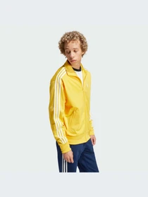 Худи и свитшоты Adidas модель IR9891-KZ Фото