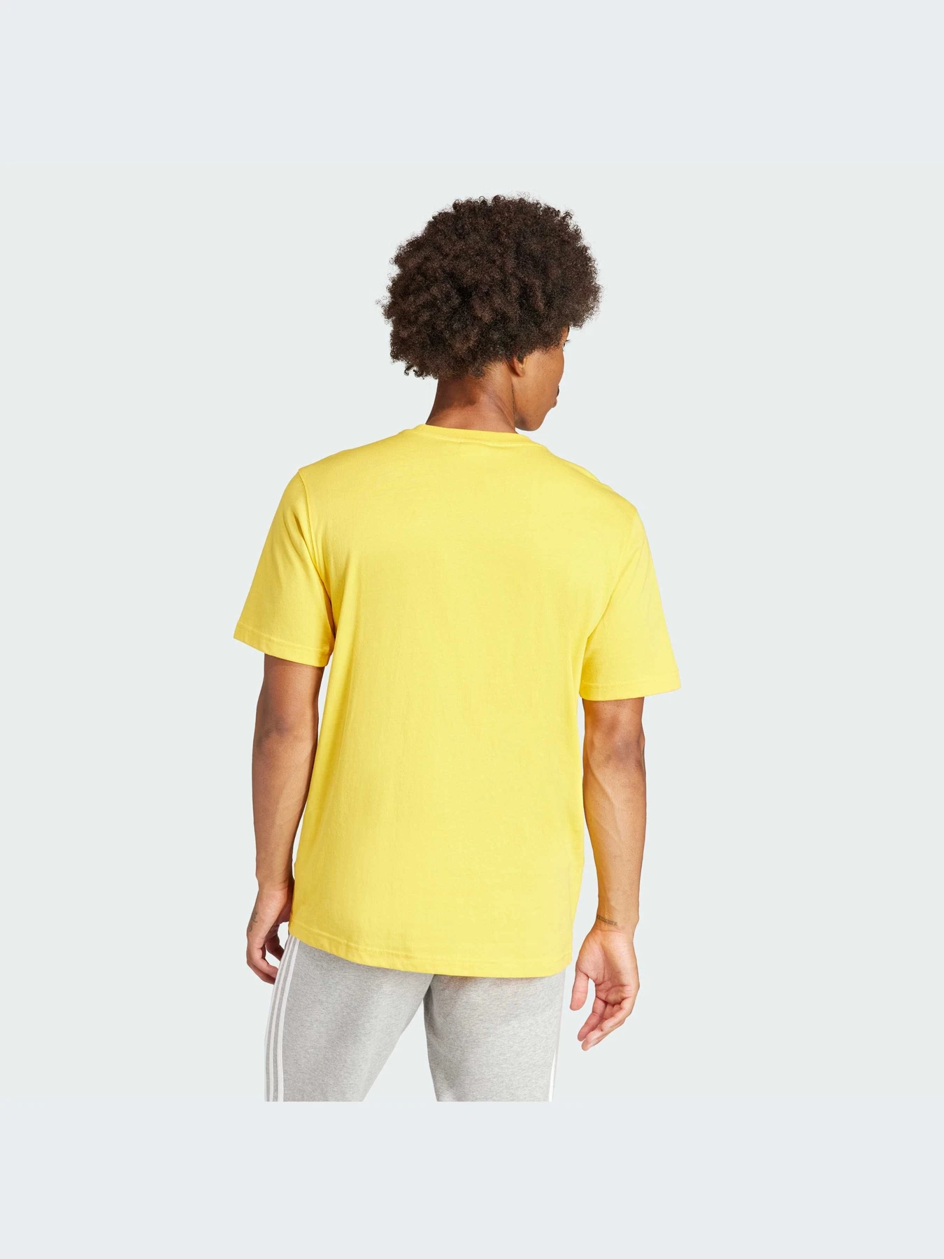Футболки и поло Adidas Adicolor модель IR7977-KZ Футболки и поло Adidas Adicolor модель IR7977-KZ Фото