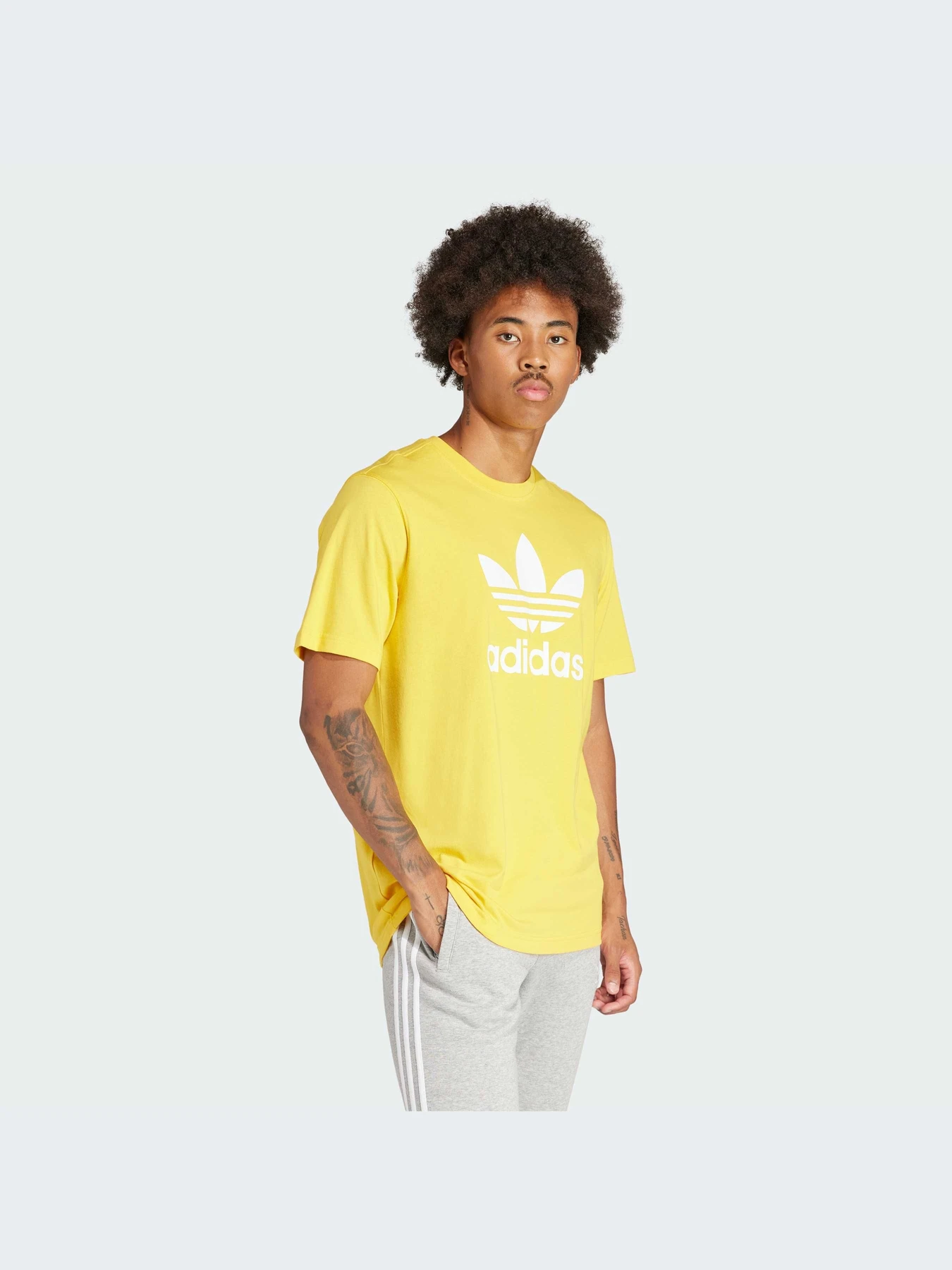 Футболки и поло Adidas Adicolor модель IR7977-KZ Футболки и поло Adidas Adicolor модель IR7977-KZ Фото