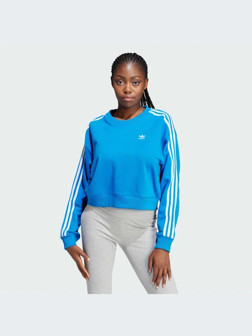 Худи и свитшоты Adidas Adicolor модель IR5523-KZ Фото