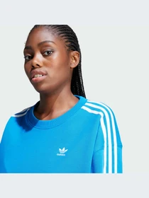 Худи и свитшоты Adidas Adicolor модель IR5523-KZ Фото