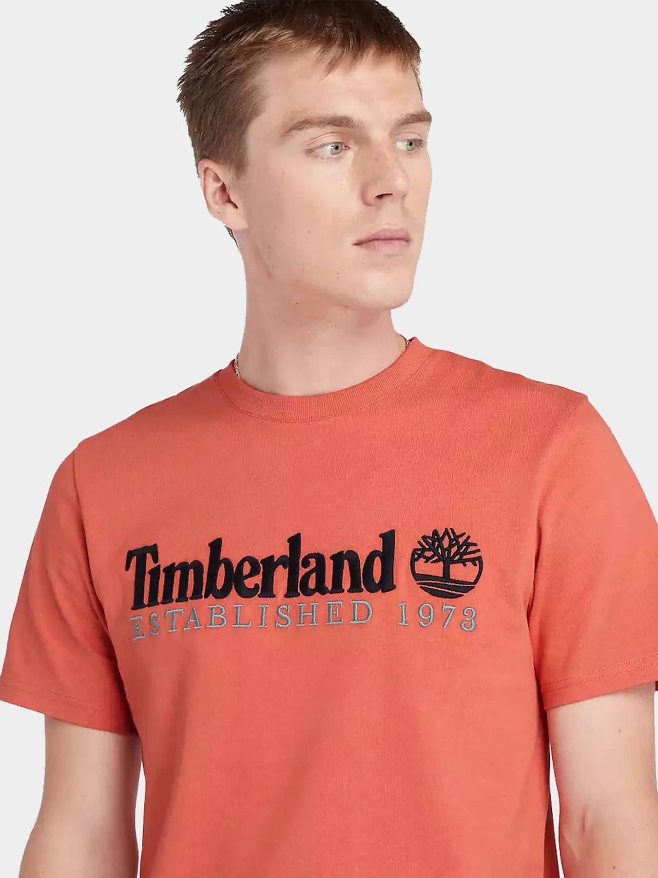 Футболки и поло Timberland модель TB0A6SE1EI41 Футболки и поло Timberland модель TB0A6SE1EI41 Фото