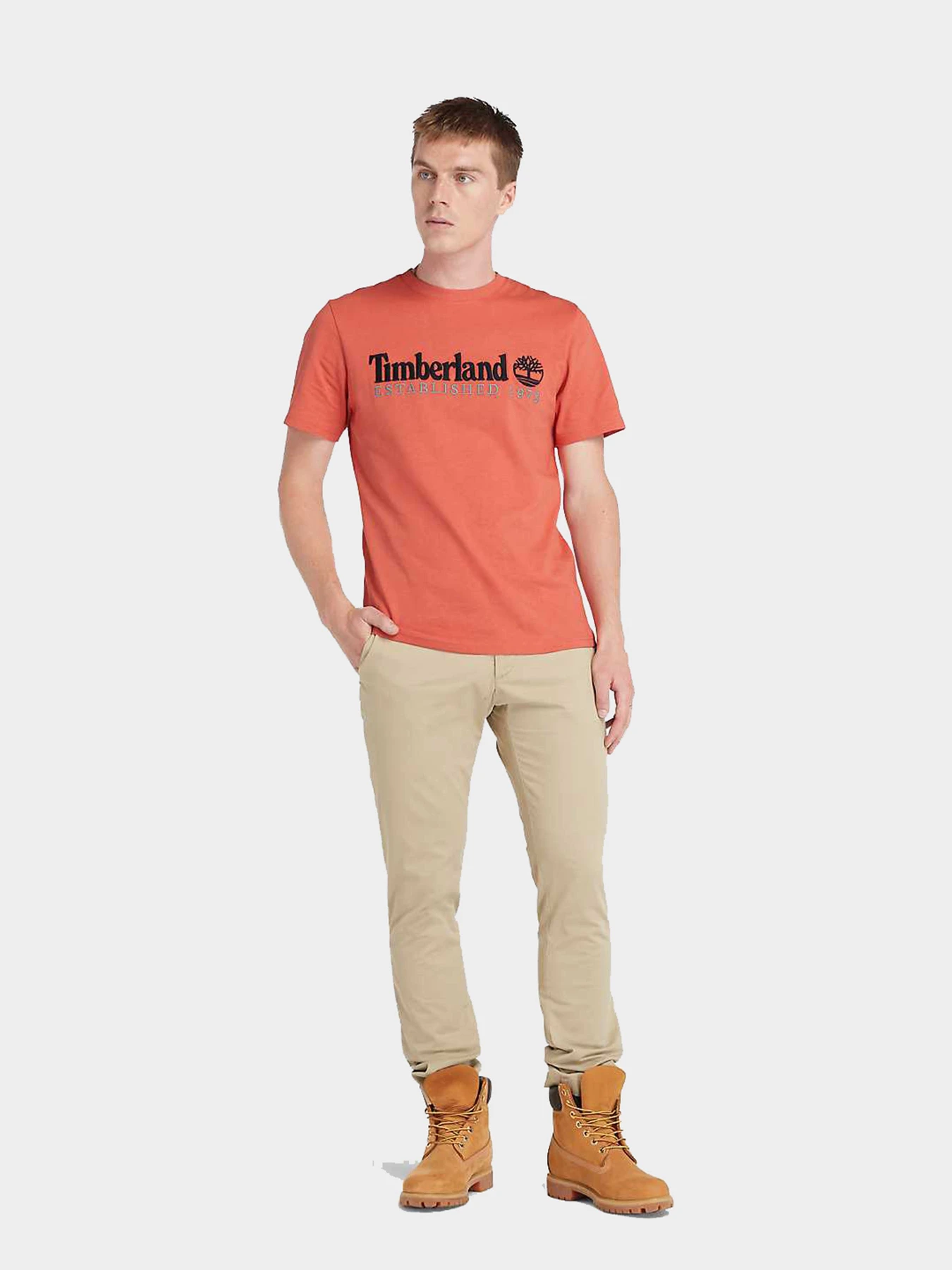 Футболки и поло Timberland модель TB0A6SE1EI41 Футболки и поло Timberland модель TB0A6SE1EI41 Фото