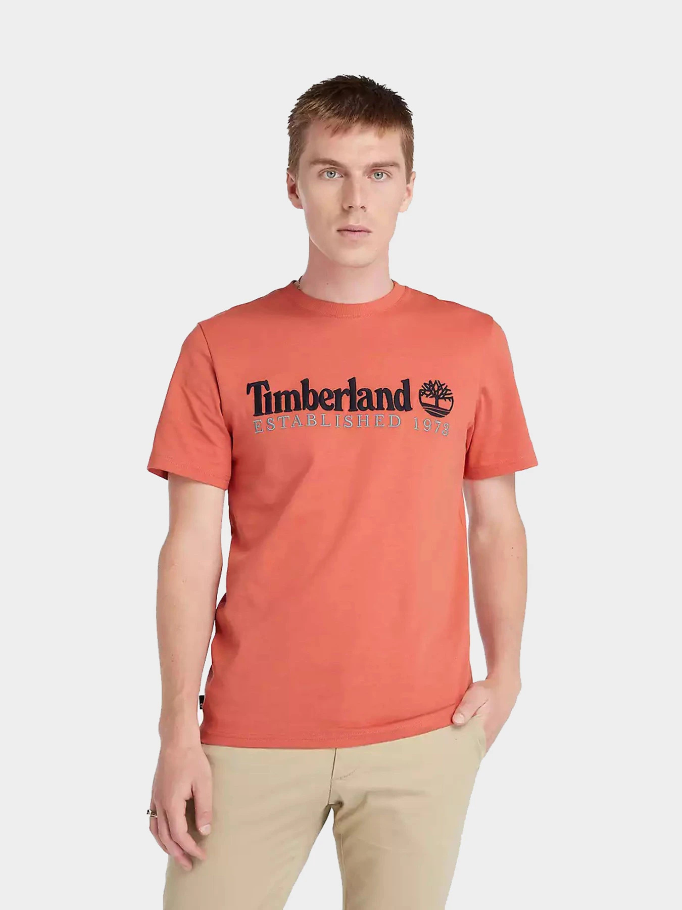 Футболки и поло Timberland модель TB0A6SE1EI41 Футболки и поло Timberland модель TB0A6SE1EI41 Фото