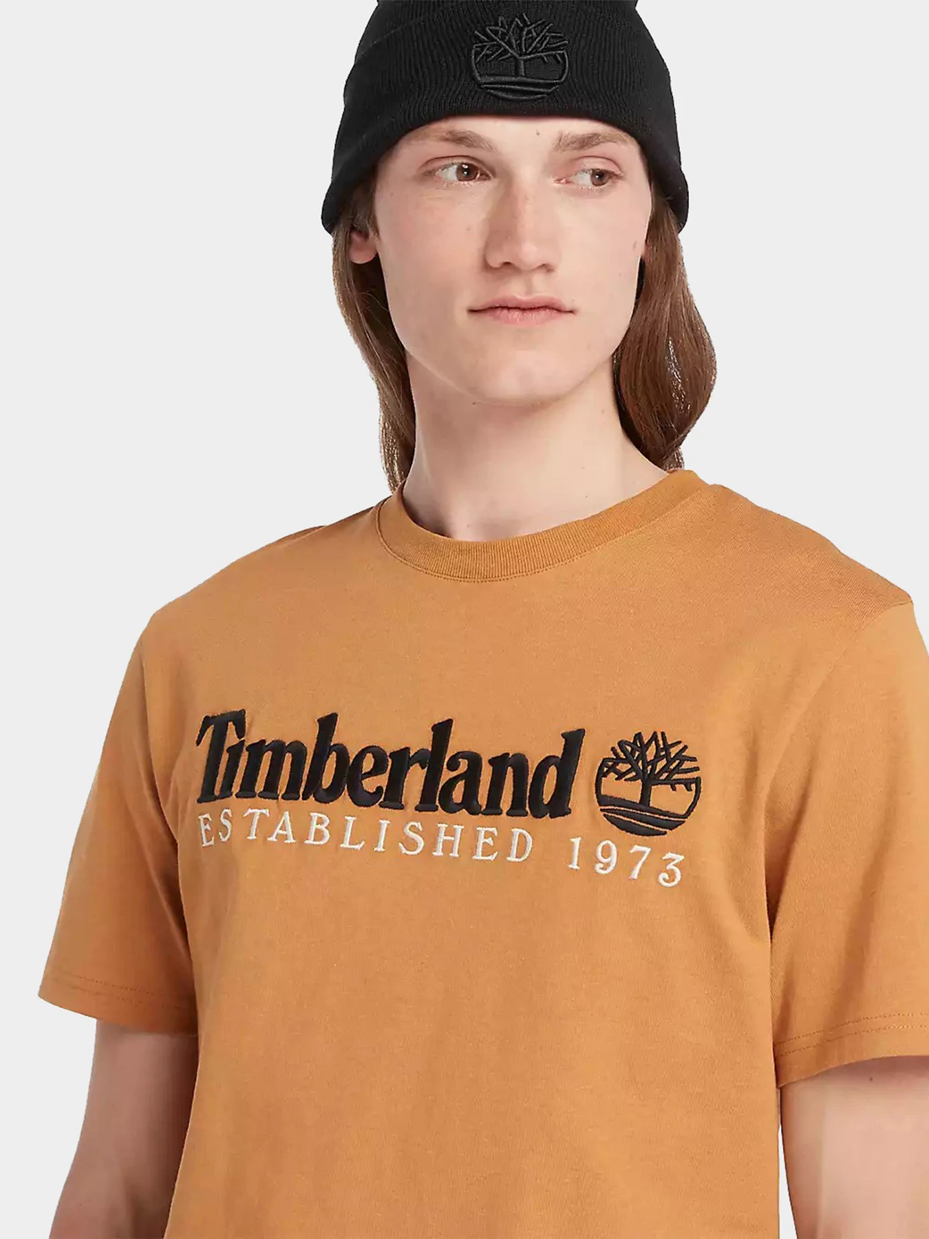 Футболки и поло Timberland модель TB0A6SE1P471 Футболки и поло Timberland модель TB0A6SE1P471 Фото