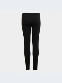 Брюки Adidas Adicolor модель HD2025-KZ Фото