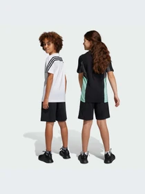 Шорты Adidas Icons модель HR6306-KZ Фото