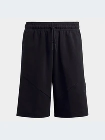 Шорты Adidas Icons модель HR6306-KZ Фото