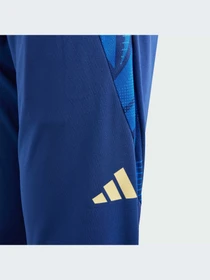 Брюки Adidas Tiro модель IQ2161-KZ Фото