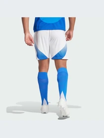 Шорты Adidas модель IQ0494-KZ Фото