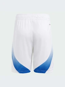 Шорты Adidas модель IS7276-KZ Фото