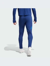 Брюки Adidas модель IQ2163-KZ Фото
