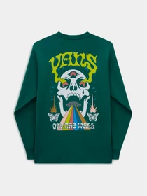 Худи и свитшоты Vans модель VN000G4CBDX1 Фото