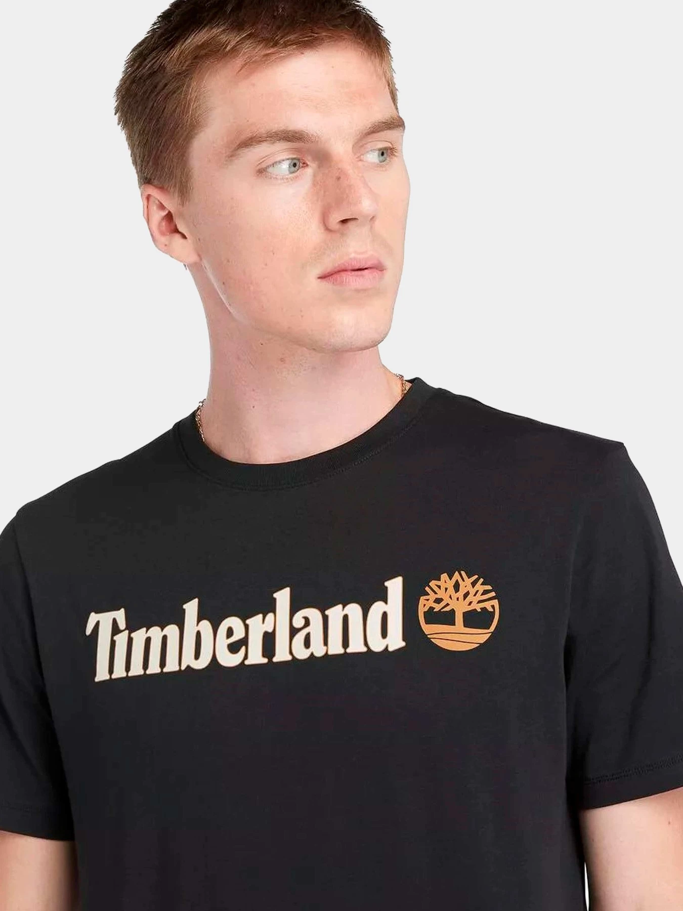 Футболки и поло Timberland модель TB0A5UPQ0011 Футболки и поло Timberland модель TB0A5UPQ0011 Фото