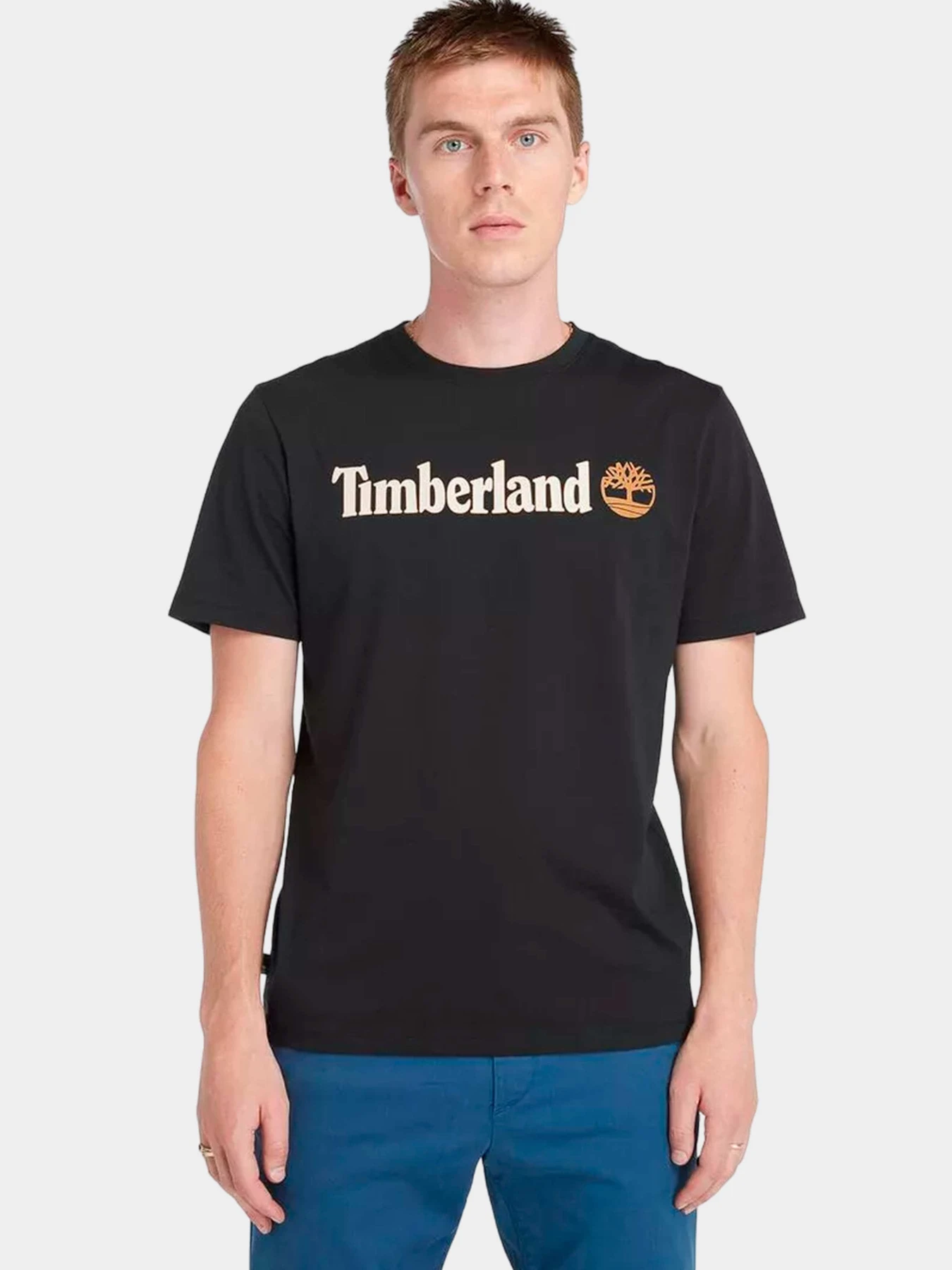 Футболки и поло Timberland модель TB0A5UPQ0011 Футболки и поло Timberland модель TB0A5UPQ0011 Фото