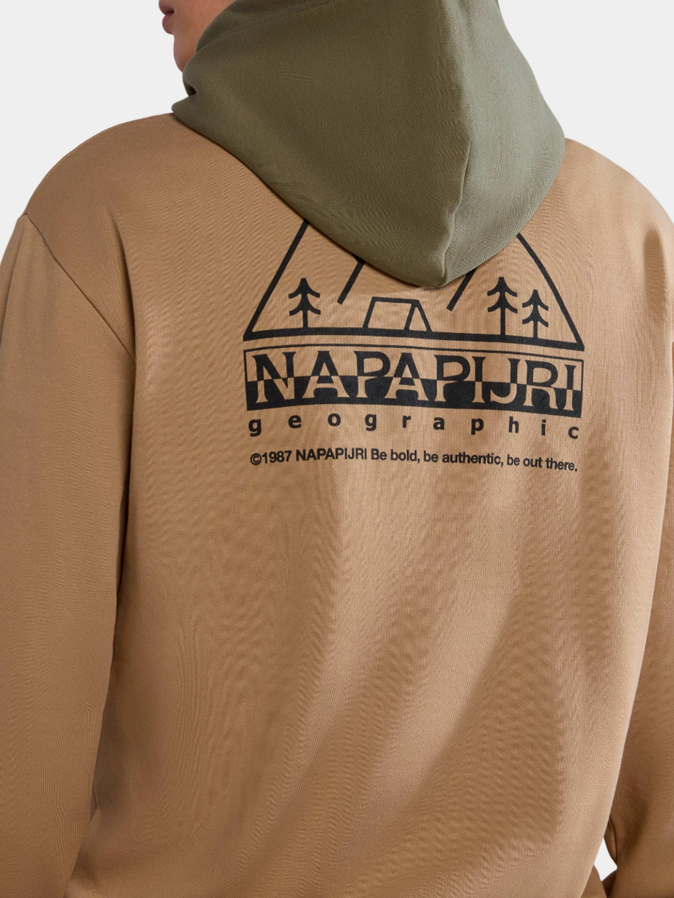 Худи и свитшоты Napapijri модель NP0A4HOZ_N1E Худи и свитшоты Napapijri модель NP0A4HOZ_N1E Фото