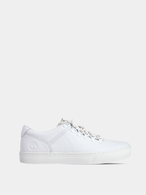 Кеды Timberland модель TB0A1U5R100 Фото