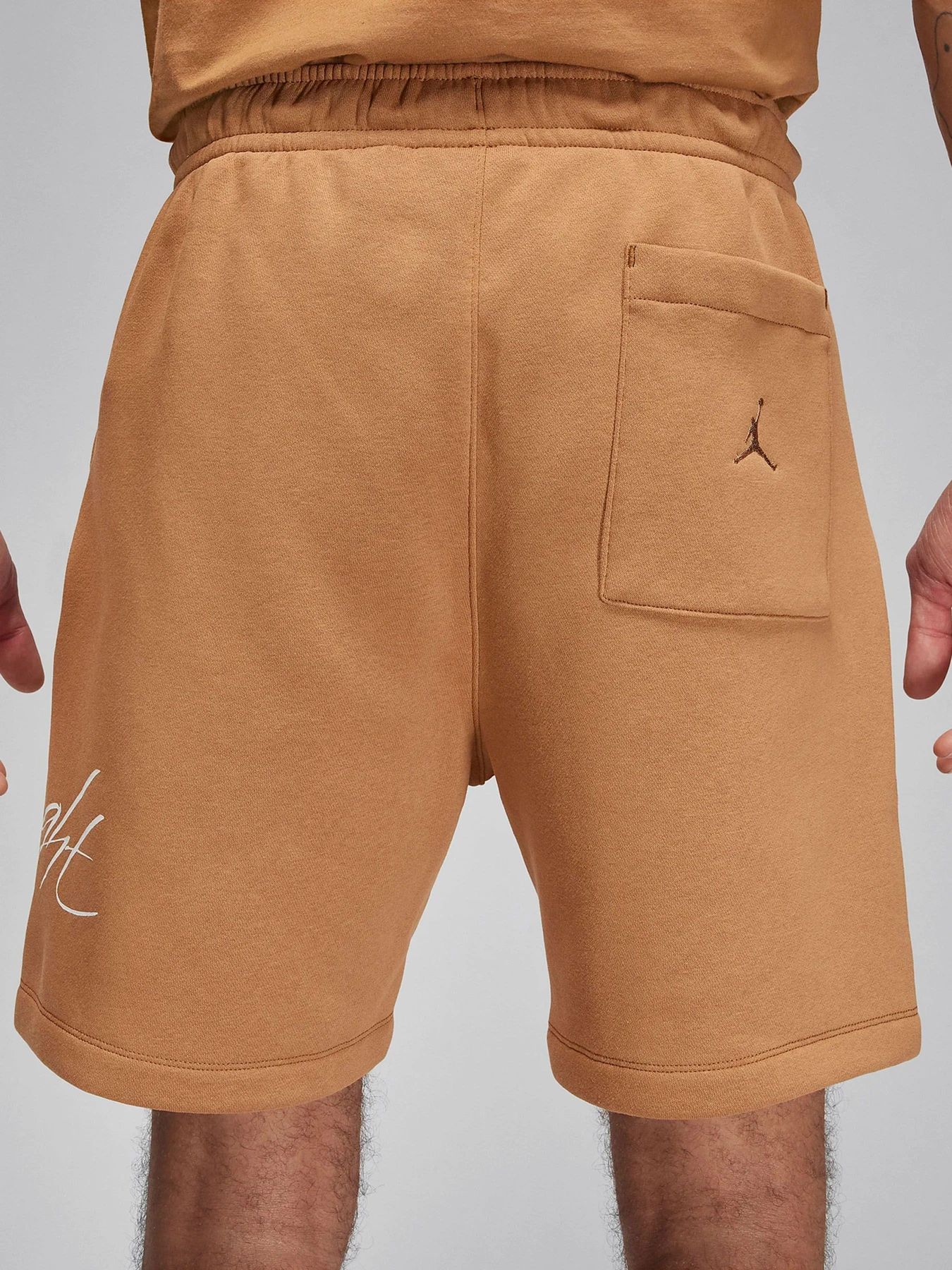 Шорты NIKE модель FN4535-231 Шорты NIKE модель FN4535-231 Фото