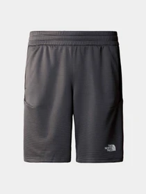 Шорты The North Face модель NF0A87J4WUO1 Фото