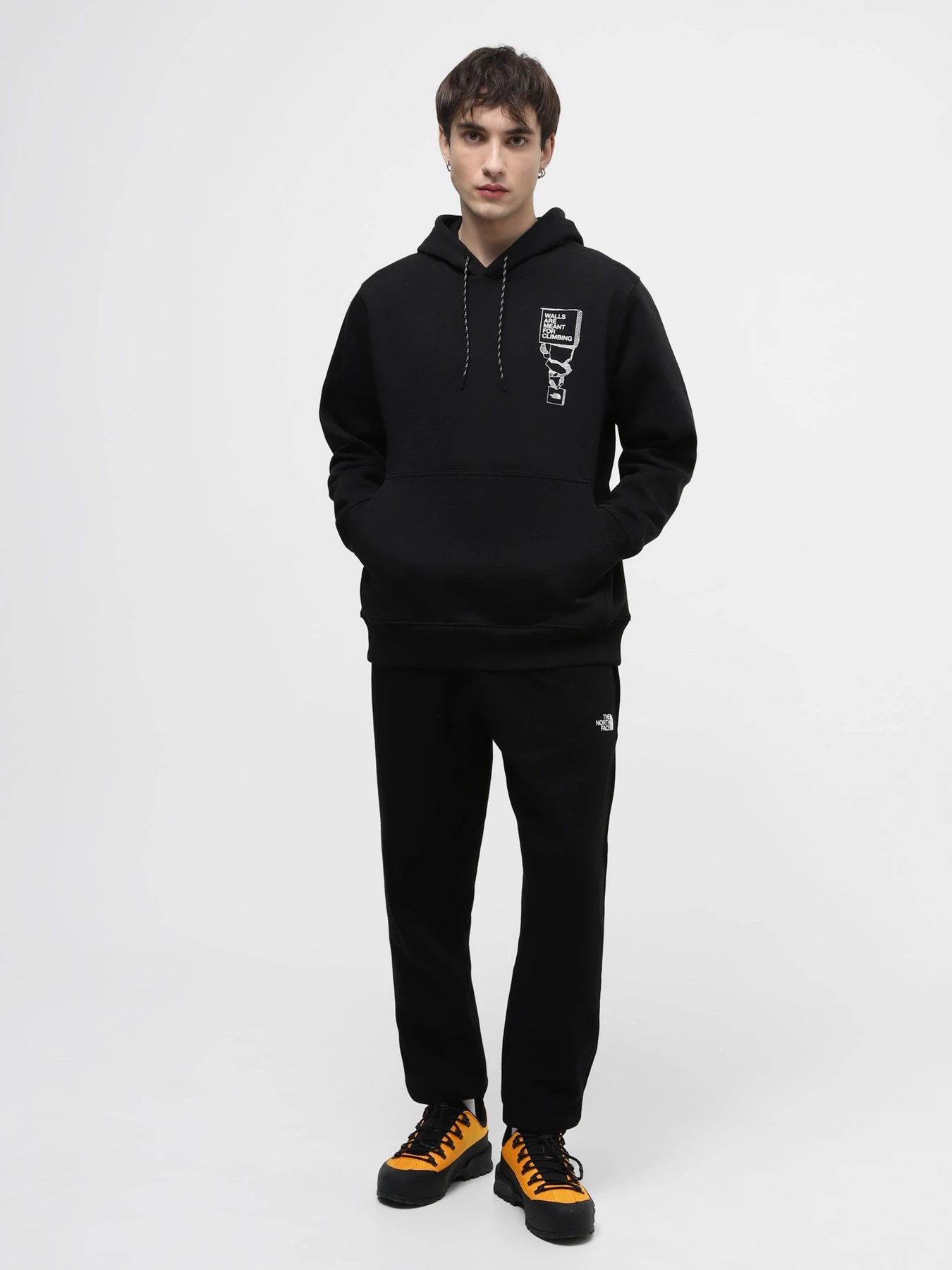 Худи и свитшоты The North Face модель NF0A87FGJK31 Худи и свитшоты The North Face модель NF0A87FGJK31 Фото